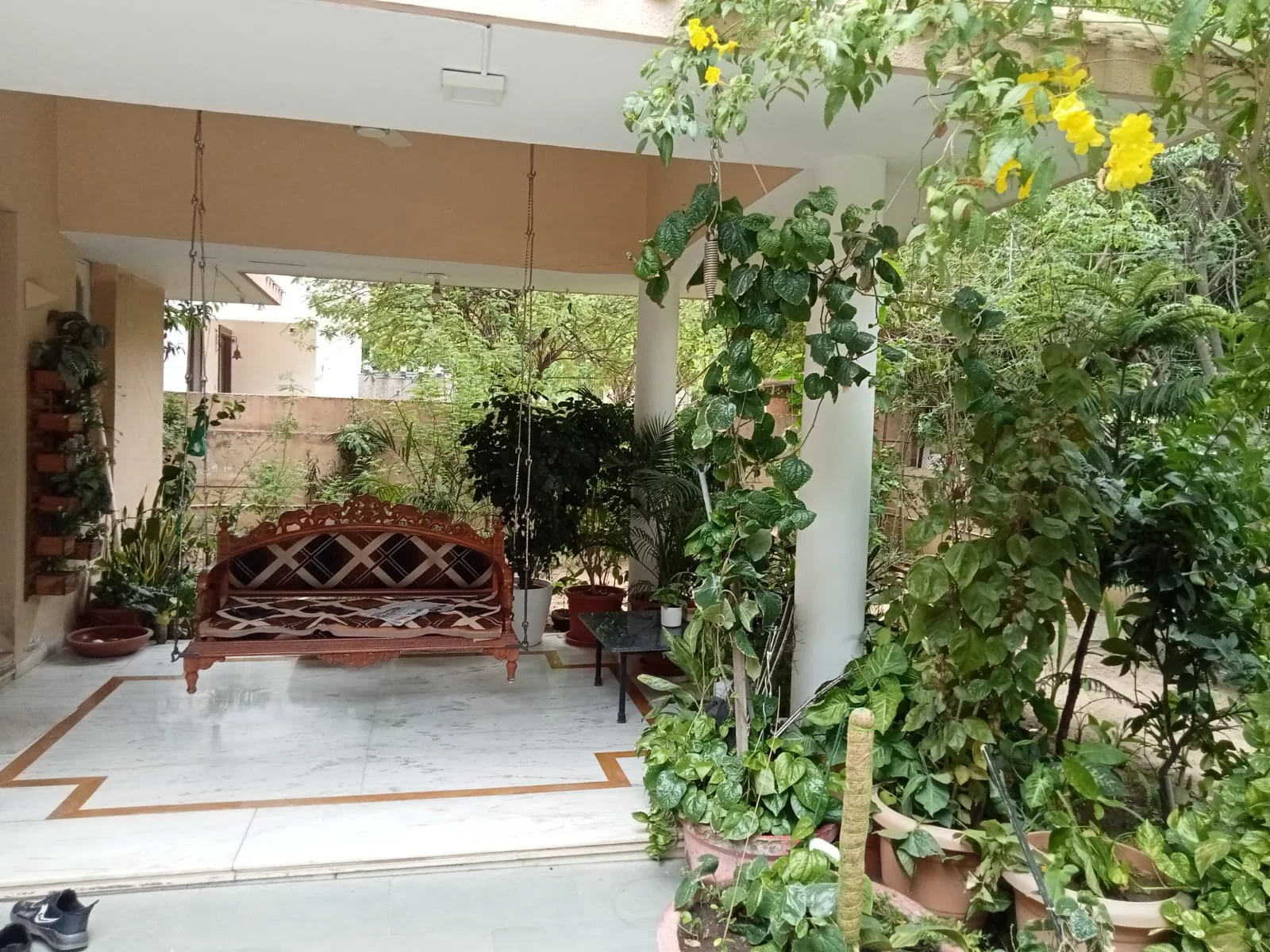 Landscaped front entrance and open garden of the Thaltej bungalow
